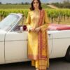 Fiza Noor Collection